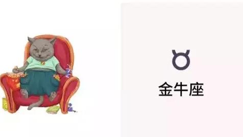 狮子|十二星座周运（5.9—5.15）