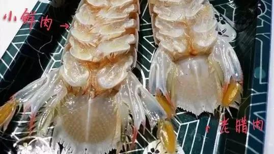 饺子|四五月份的爬爬虾，一定“鲜”翻你的舌尖