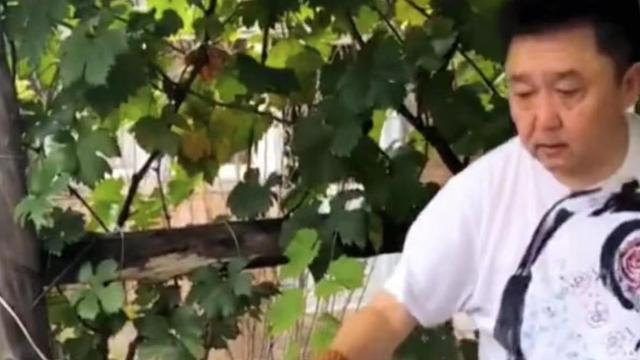 于谦|53岁于谦在农村居住，和孙越搭伙做饭用盆装肉，穿着朴素院落简陋