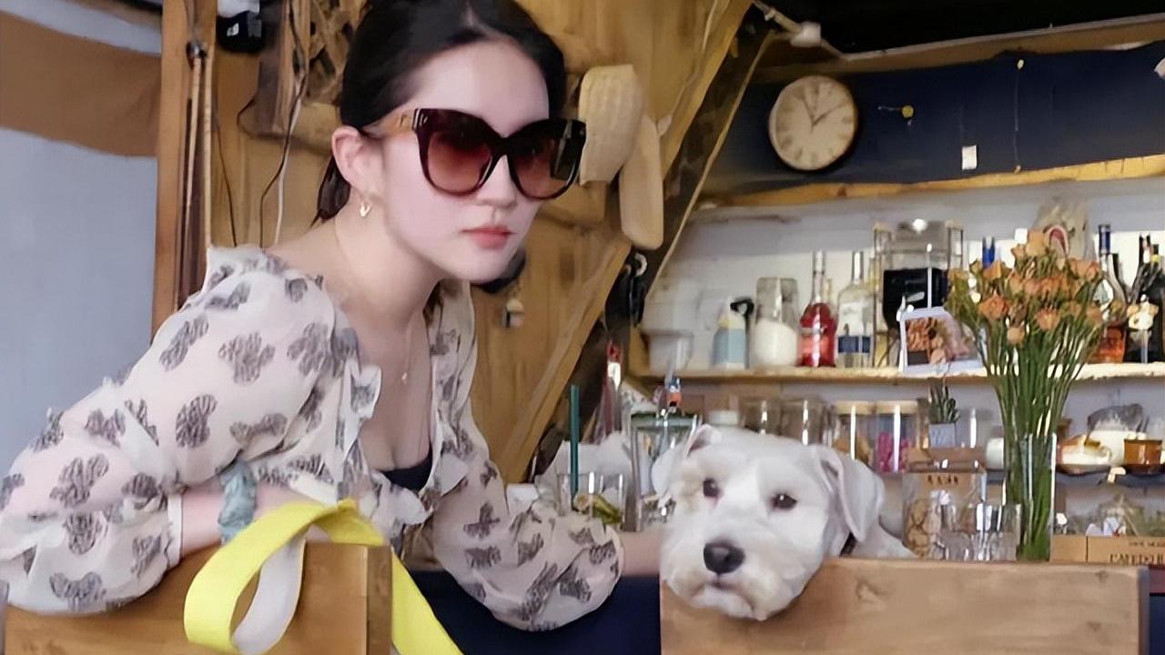 刘亦菲|刘亦菲近况爆出，低领碎花裙秀好身材，与狗对视引网友嫉妒