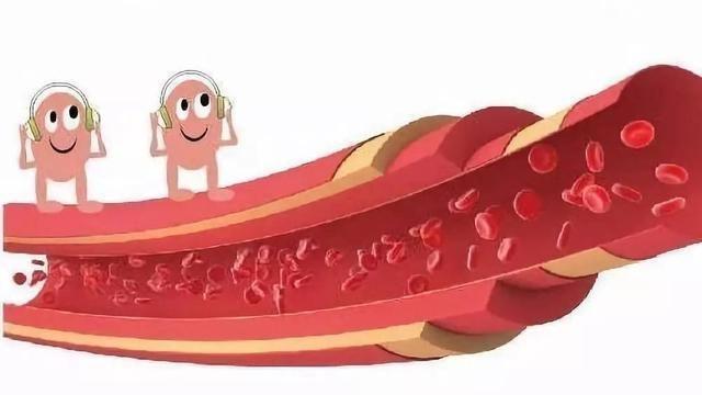 番茄|蔬菜立大功！科学证实：番茄中的水溶性物质是“血管清道夫”