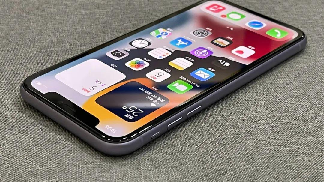 iphone11|它是历代最稳的苹果手机，现在买来还可以成为养老机型
