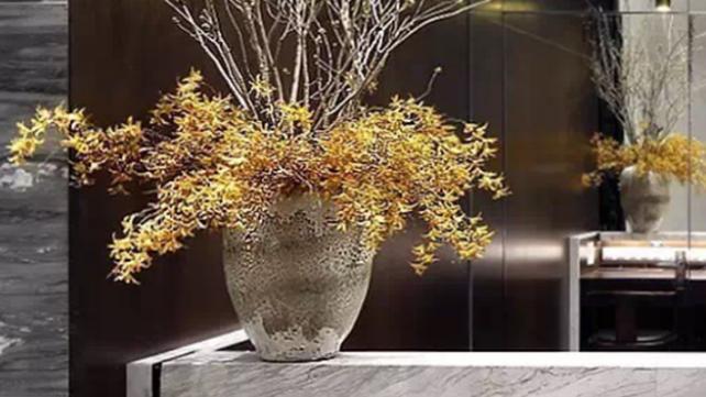 双鱼座喜欢幻想，是天生的梦想家，在意精神世界