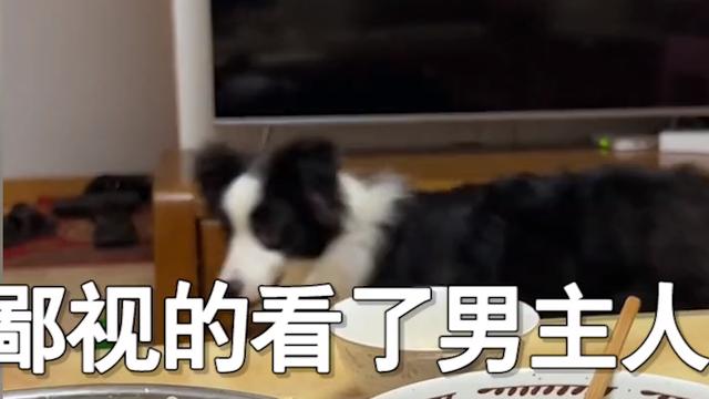 减脂 老婆提出减肥后，老公做了酱骨头当面全吃光，狗子的反应亮了！