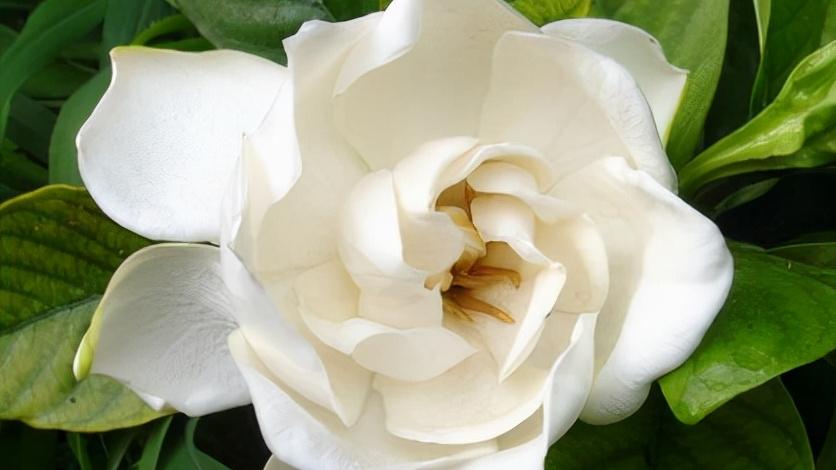 |啥日子出生的人，福禄双全迎新春，家人齐聚有喜事，阖家欢乐！