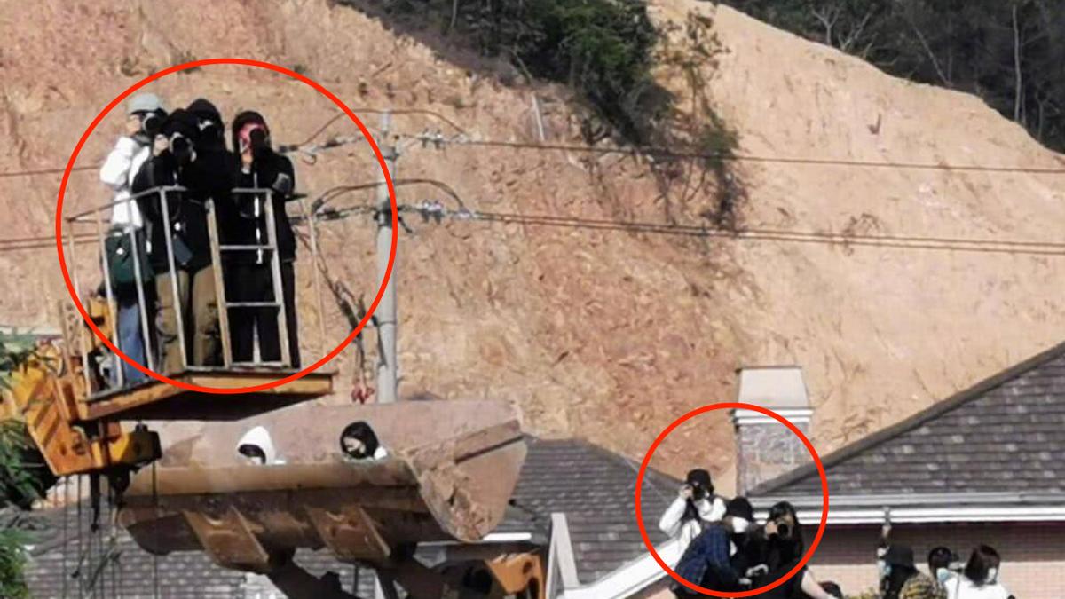 赵丽颖|赵丽颖片场被代拍吓到！偷拍者扛相机爬树上，屋顶上趴一排太危险