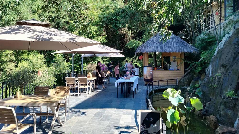 第一次体验山居民宿：静坐观山幽，品鲜花泡茶，看飞蜂吃鱼