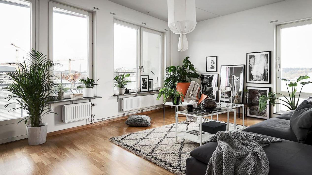 安装地板前后没注意，踩上去发出声响？教你们如何避免！