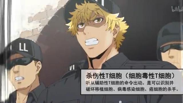 工作细胞|分享15张科普动画《工作细胞》里面的CG知识图片