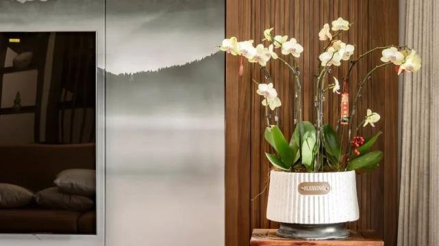 189平现移步换景，以景造景打造富有传统韵味的新中式设计