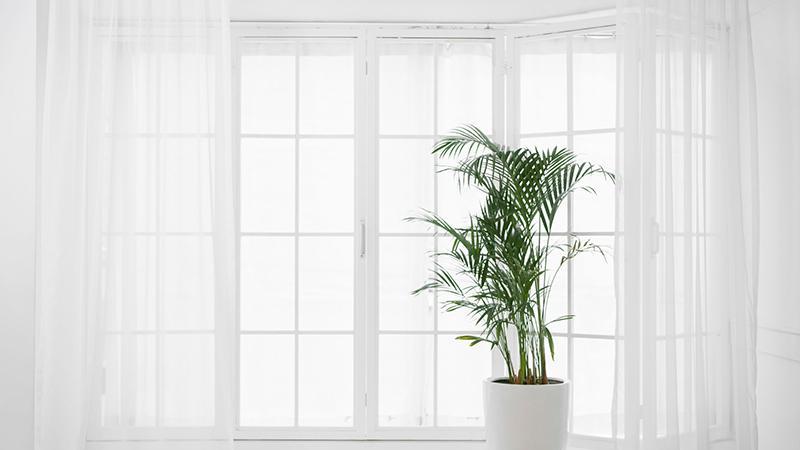 你家的门窗保养过吗？请收下这份“门窗保养攻略”