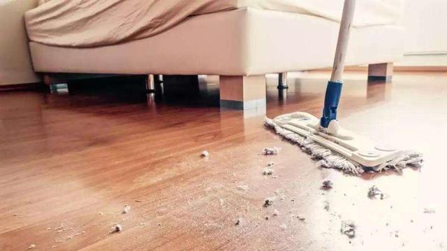 家里的毛絮乱飞是怎么回事？居家保洁4步走，轻松消除卫生死角