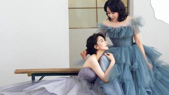 |张馨予：小院现吉象，母亲节当天鸟妈妈在自己的月季花上筑巢孵蛋