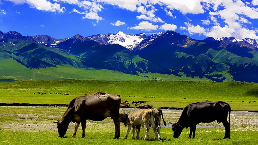 湖州|盘点新疆最美的十大草原