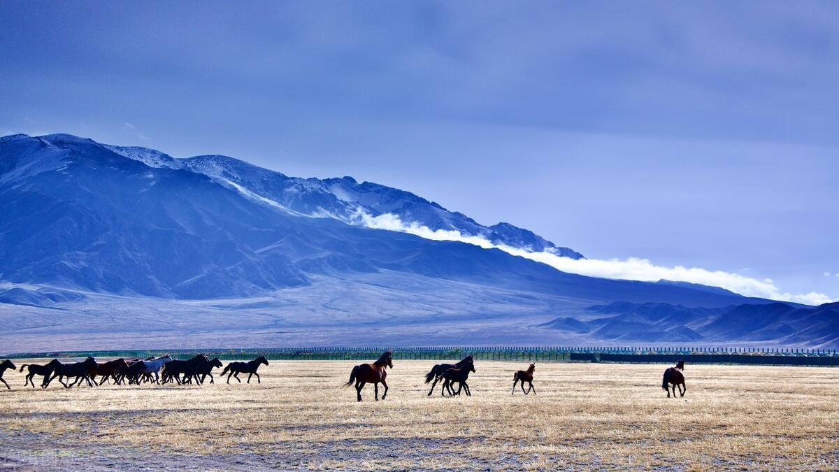 穿衣搭配|职场真实故事，警惕领导扔出兔子给你追，职场人必须警惕