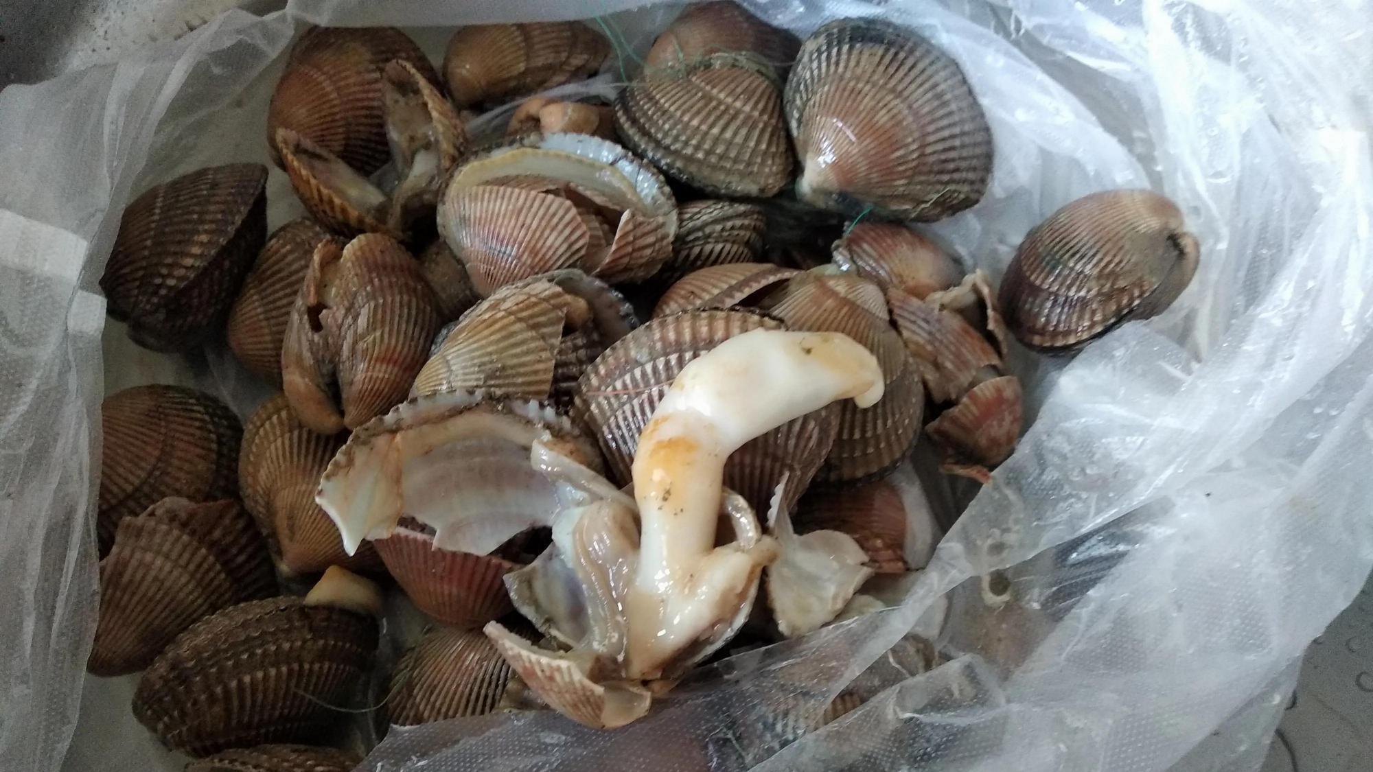 大连|内行来大连很少吃鲍鱼海参，却偏爱这6道菜，老板：你是本地人