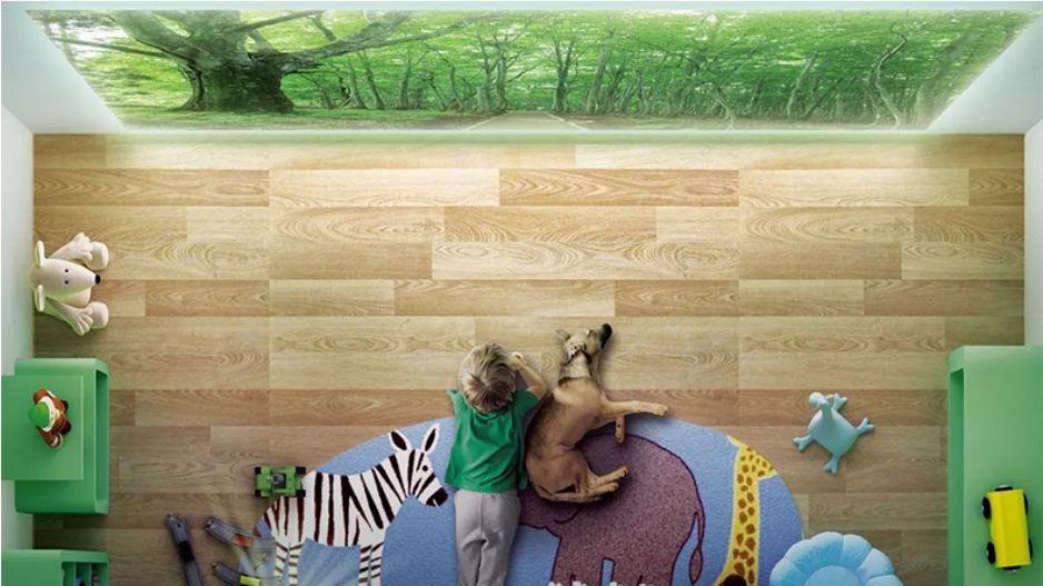 投影仪|电视和投影仪怎么选