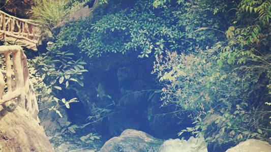 学前教育|国内前景大好的6大专业，社会需求大，毕业好找工作