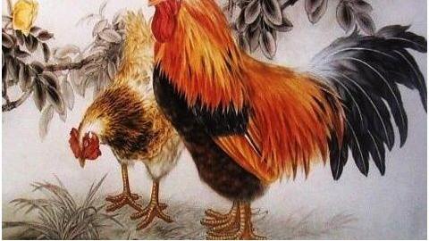 |3月12号起福星高照，喜事财气来袭，日子一天好过一天的生肖