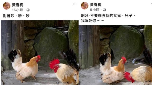 大S|台媒曝S妈对新女婿态度逆转，但大S婚后情路艰难，原因太现实