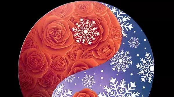 南渝先生：花瓶的风水摆放