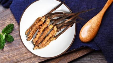 枸杞|冬虫夏草可以和枸杞一起泡水喝吗