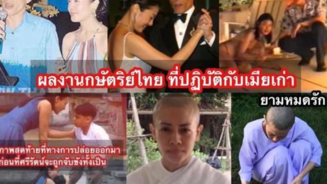 西拉米|西拉米回归让人满怀期待，玛哈希望重拾旧爱，提帮功渴望母子团圆