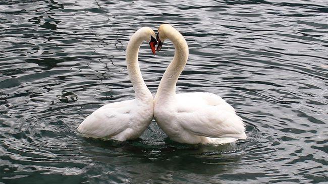 数学|这样的人生，往往会失败