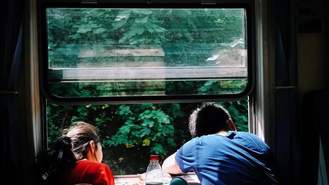 饼干|道口烧鸡：被绿皮火车带火的“中华第一鸡”