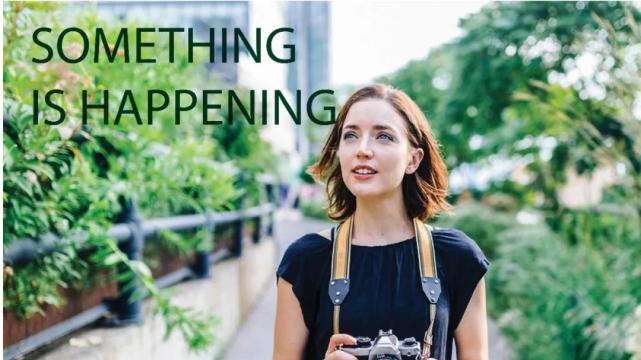 晋江马哥孛罗酒店「探索之旅」忠诚客户计划双倍住宿积分