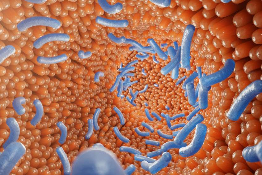 睡眠|一半的国人都曾遭受感染？能引发胃癌的这种细菌，7个真相来说明