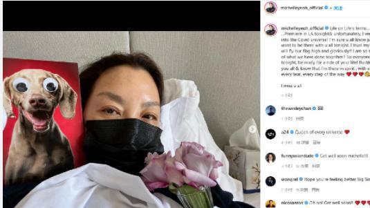 杨紫琼|杨紫琼感染新冠，5段感情被求婚十余次却坚持不嫁，她究竟为什么