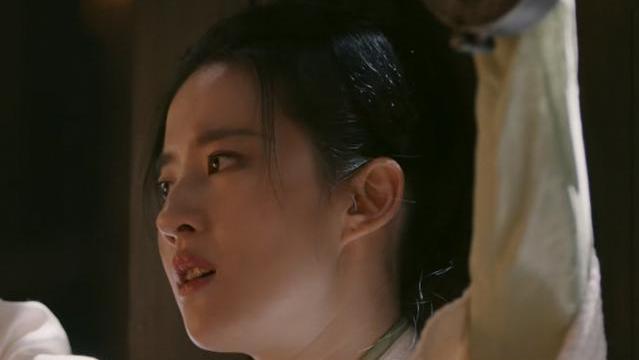赵盼儿|《梦华录》14集过后，关于刘亦菲的演技，央媒的15字评价字字珠玑