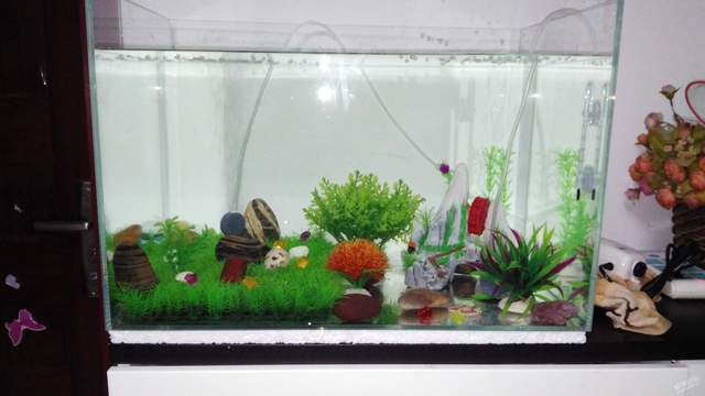 这5种东西，最好别放在电视机的旁边，不是迷信，都有科学依据