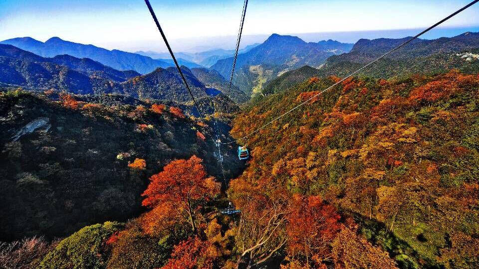 福建省|重庆一景区走红，属典型的喀斯特地貌，被誉为东方的阿尔卑斯山