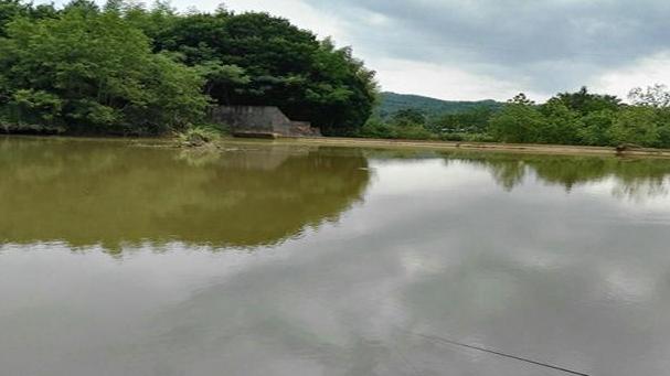 |夏季钓鱼，悟透“4钓4不钓”，大鱼连竿到爽，不愁渔护不满