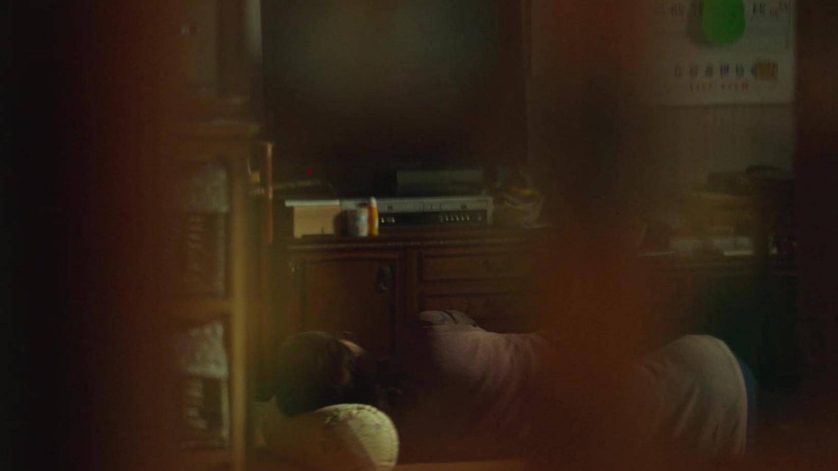 西红柿|【我的解放日志13集】《关于“妈妈”的突然离开》