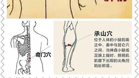 中草药|体内湿气不除，睡眠很难香甜！这篇除湿要诀，一定要牢记~