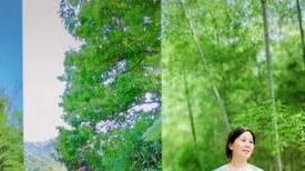 温婉|田家女子图鉴！田静妹妹首晒一家合照，田妈妈温婉大方成焦点