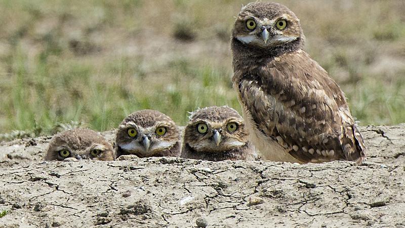 运动|怎么让自己的眼炯炯有神？