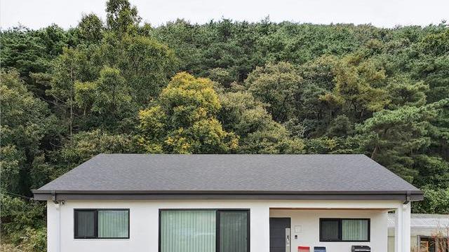 想通了，回家翻新99自建房，门前有院屋后有山，比在城里住快活