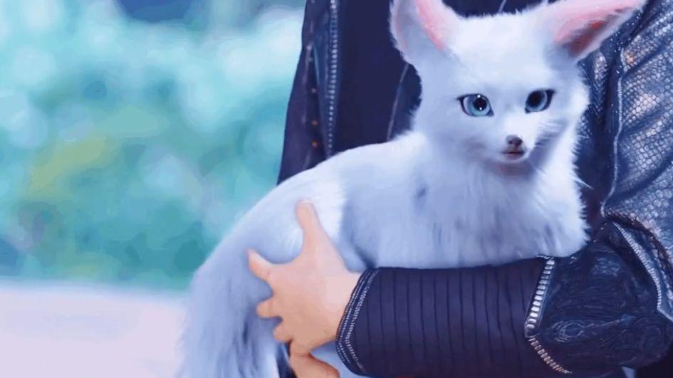 上海市|《恰似故人归》迪丽热巴告别：世间再无纪云禾！任嘉伦哭出一地珍珠？