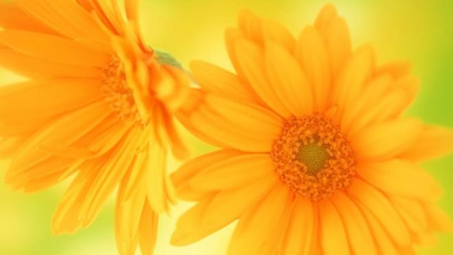 招聘|我的个人工作感受，论加入一家重视员工的公司的重要性