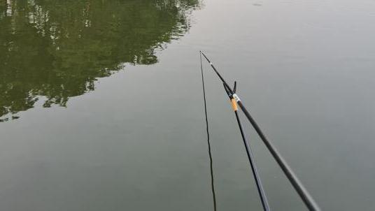 |河南一河道成天然黑坑，成百上千的钓鱼人蜂拥而至，网友：该管管