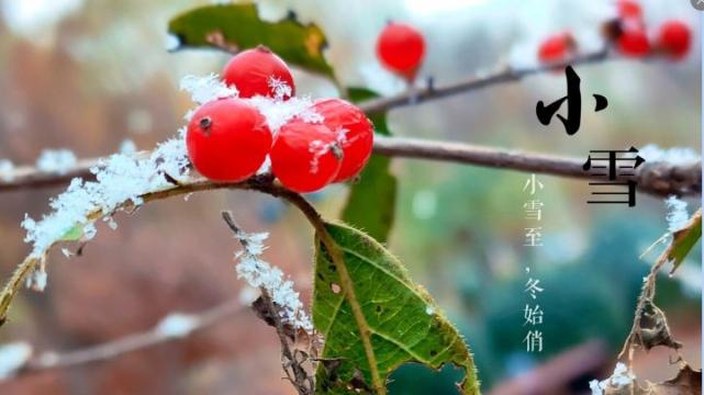 11月22日小雪，记得提前备好“1菜2果”，温阳散寒，家人平安过冬