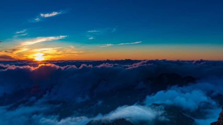 显示器|家电产业新秩序正在困难时重构