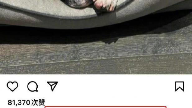 鹿晗|鹿晗发文“内涵”张小寒，张小寒卖萌回复，网友：你还要脸吗？