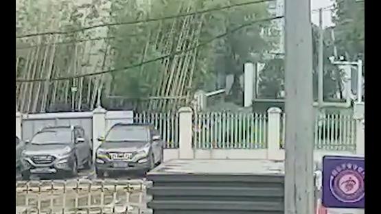边牧和主人走丢后，竟然主动跑去派出所找警察帮忙，狗：人失踪了