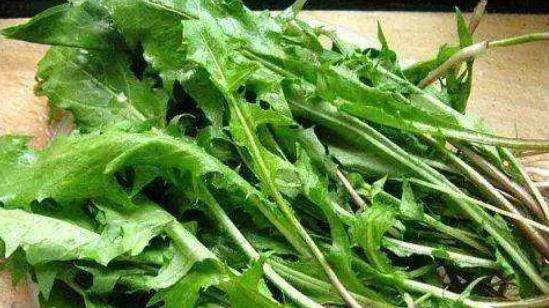 它是初春“抗炎菜”，还能保肝散结，调节免疫，老人吃最好～