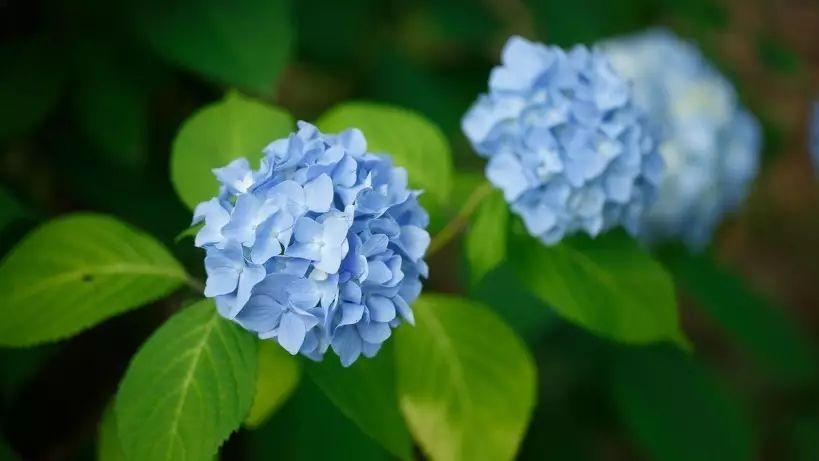 【原创二十四节气之寒露】潮湿